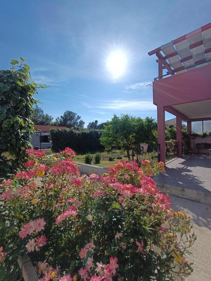 Apartman Brigita Apartment Biograd Na Moru Bagian luar foto
