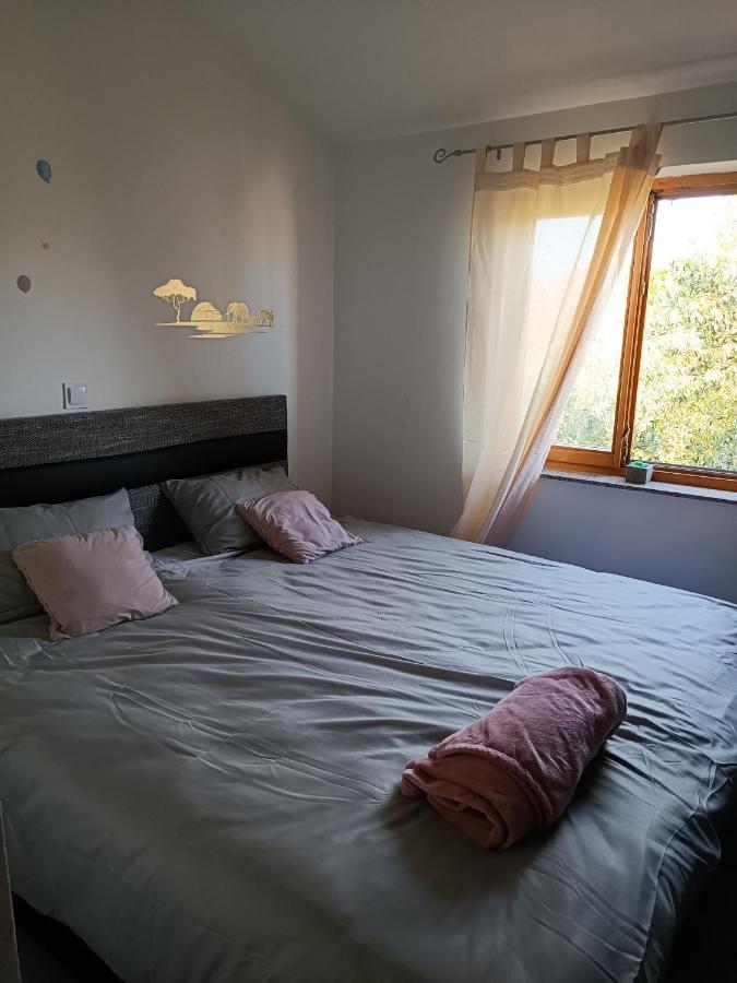 Apartman Brigita Apartment Biograd Na Moru Bagian luar foto